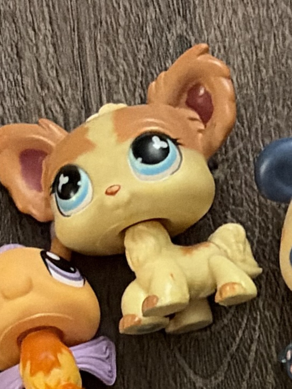 LPS WALMART EXCLUSIVE VERY RARE CHIHUAHA #765